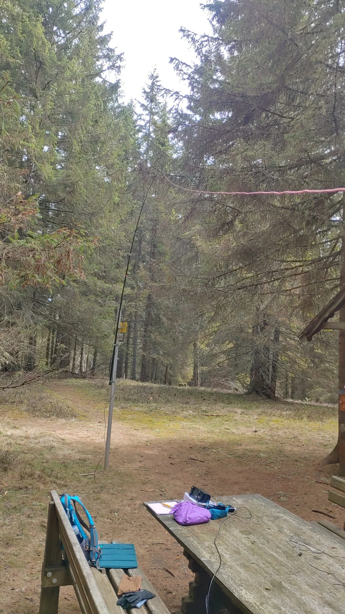 EndFed Antenne am Teleskopmast