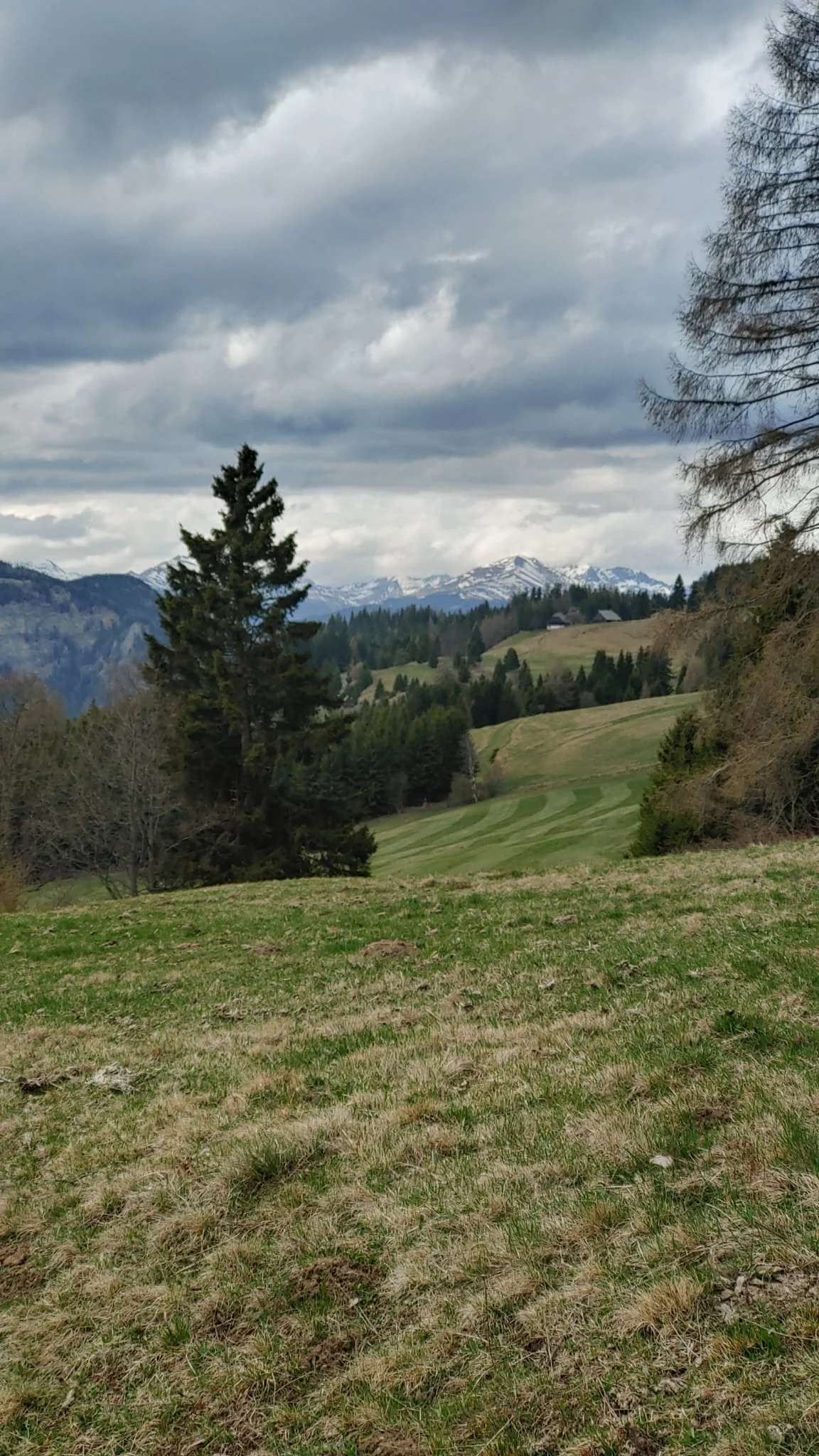 Steirische Berglandschaft