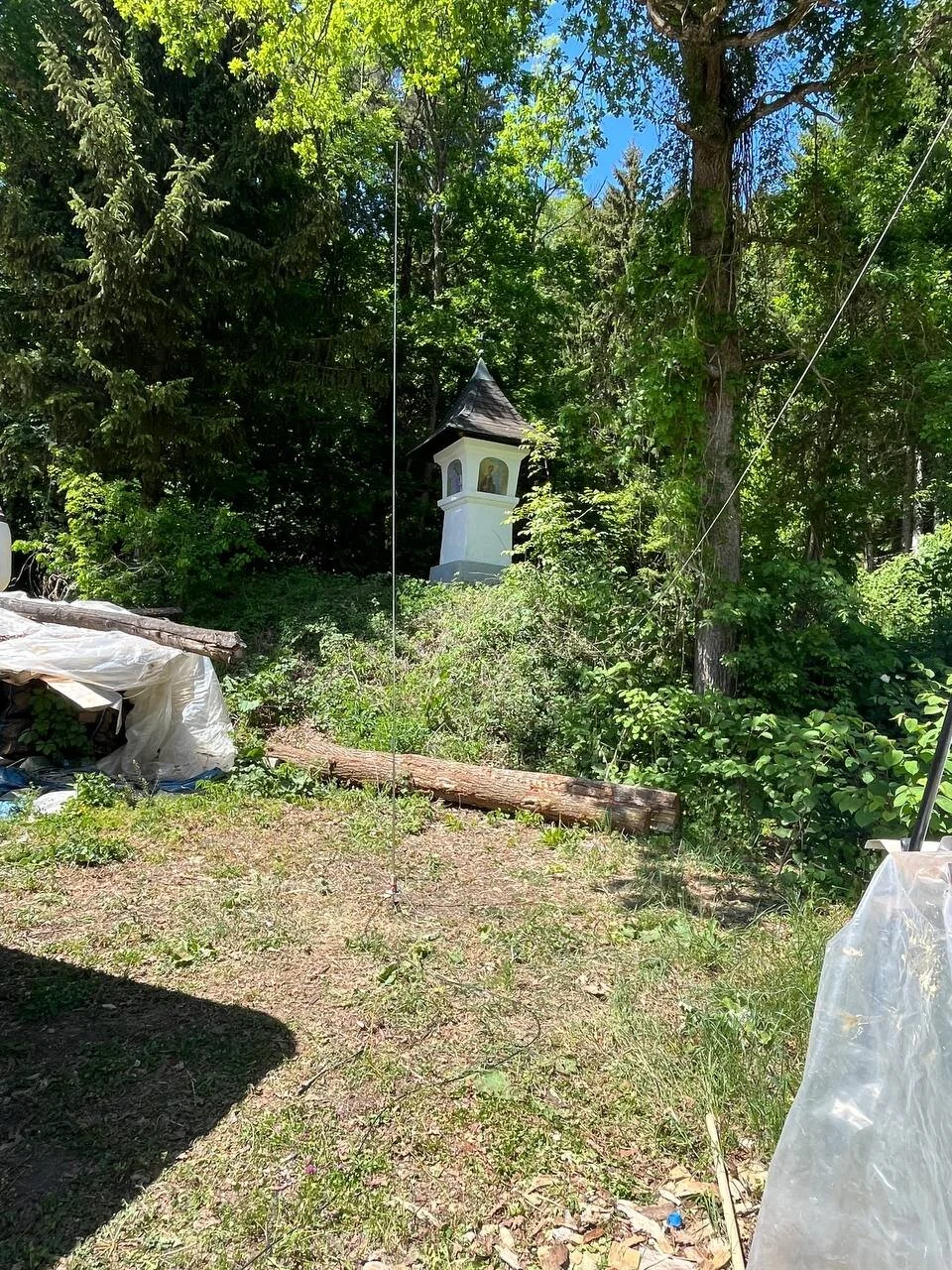 Teleskop-Whip Antenne mit Bildstock im Hintergrund