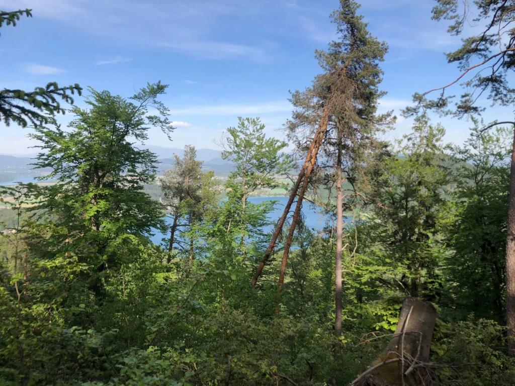 Blick auf den Klopeinersee