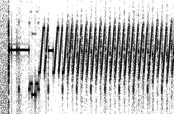 SSTV-Signal im Spektrogramm – Tonfrequenzen codieren Pixel