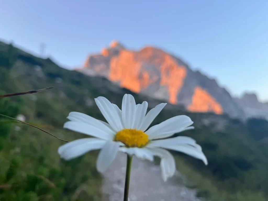 Alpenglühen am Monte Pelmo