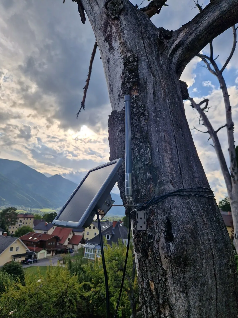Solar-Node mit Panel und Antenne an einem abgestorbenen Baumstamm, dahinter der Blick ins Tal